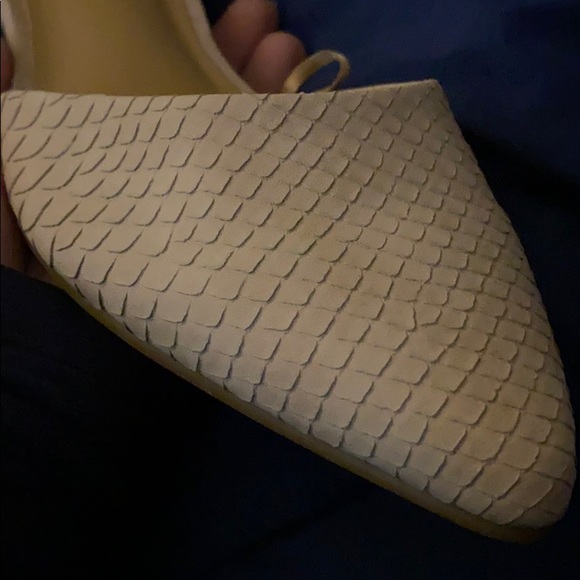 Express Flats - Picture 4 of 7